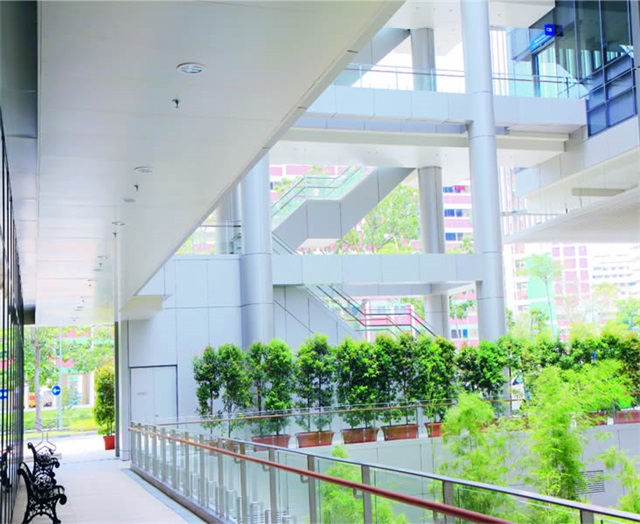 新加坡邱德拔醫院